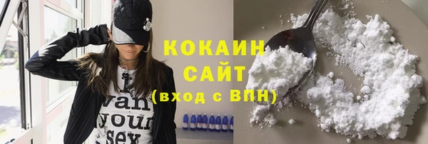 прущие грибы Карпинск