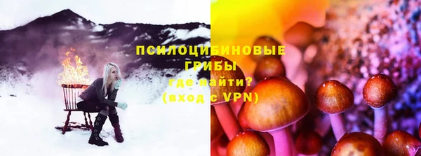 прущие грибы Карпинск