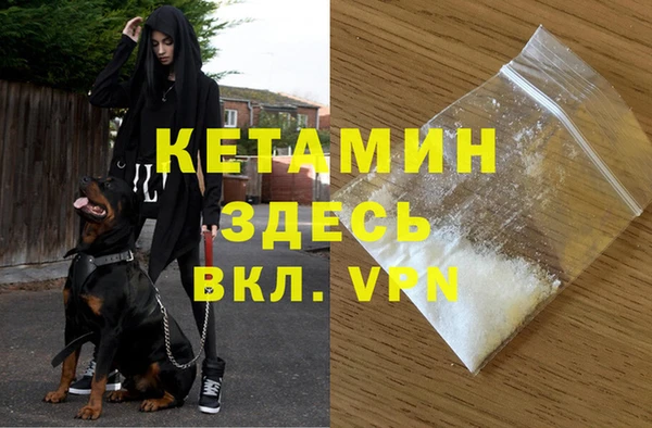 прущие грибы Карпинск