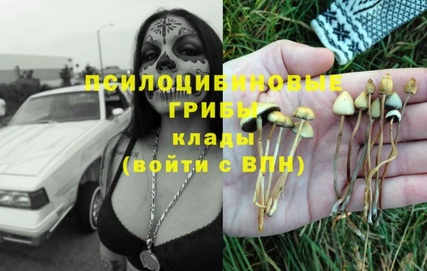 прущие грибы Карпинск