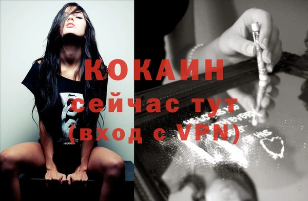 прущие грибы Карпинск